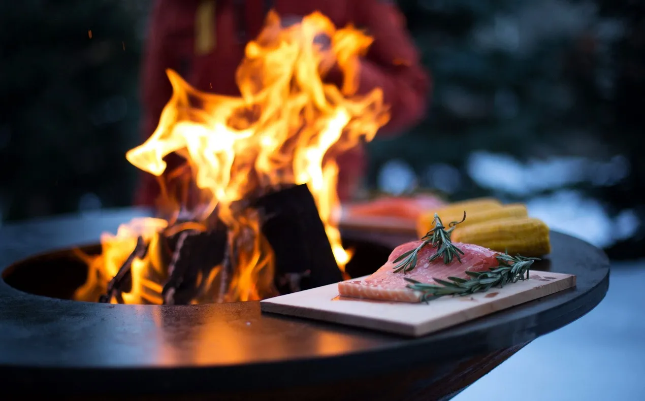 Как выбрать дровяной гриль