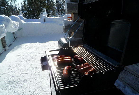 Какой гриль лучше 