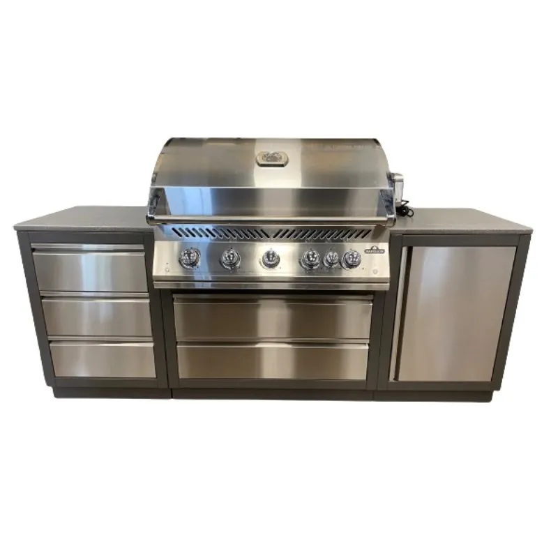 Уличная гриль-кухня Napoleon 700 Series 38