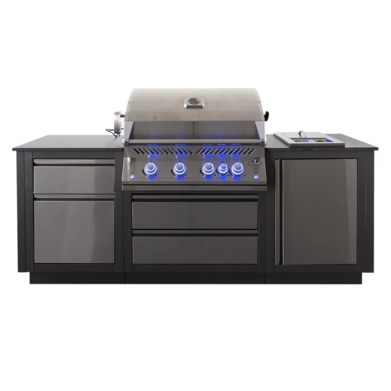 ЛЕТНЯЯ КУХНЯ NAPOLEON OASIS 100 С ГРИЛЕМ BIG 32